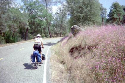 Frank from the rear, rounding a curve, flowers beside the road.