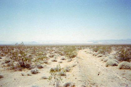 Close to Halloran Summitt, looking back toward Baker