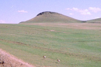 You can just make out the antelope in the field