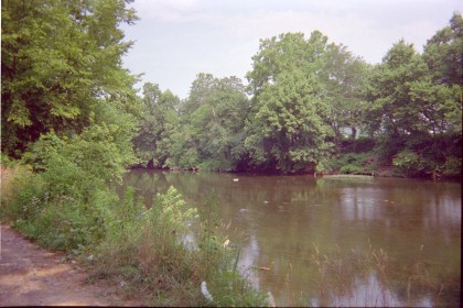 Creek along SR953 with trees reflected in the still water
