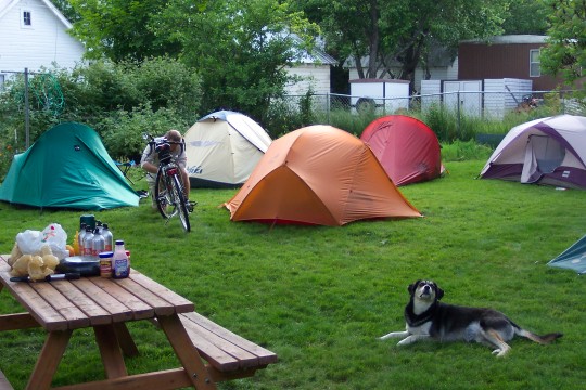 Chris and Suzanne's backyard filled with tents