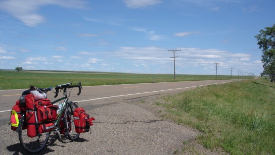 The plains have plenty of grass but not much else