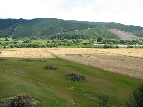 Looking across the road from Kohatu Junction