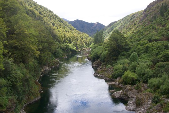 Upper Buller River gorge