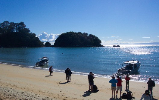 Sea shuttles on the beach at Kaiteriteri