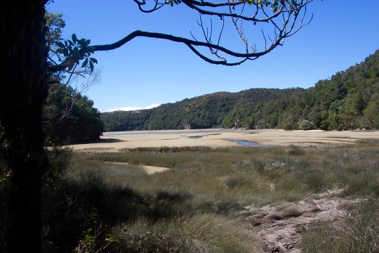 Looking out on Torrent Bay from the path