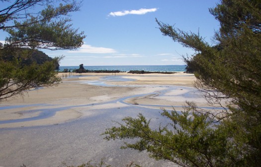 The flats at low tide