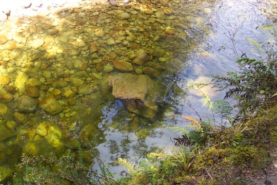 Looking down through the water in a stream