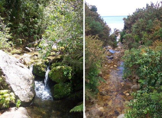 Streams in Tasman NP