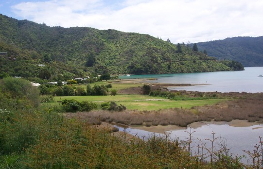 Vista overlooking houses near the shore