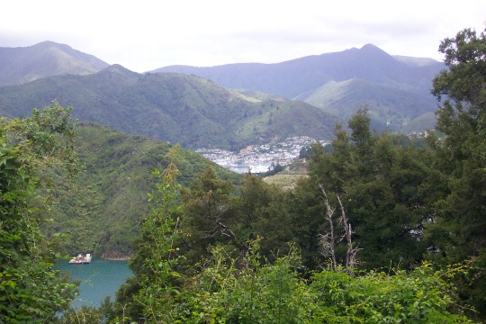 Overlooking a bay with Picton visible in a cut in the hills