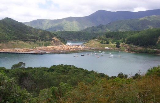 Harbor near Picton with stacks of wood for shipment