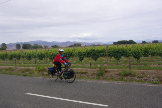 Sue riding through the vinyards