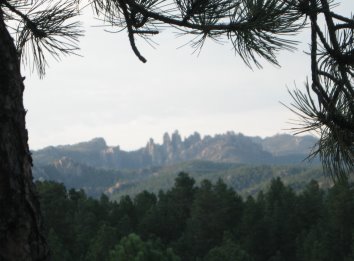 Distant craggy peaks framed by tree branches
