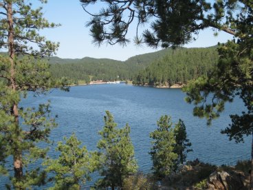 Lake seen through the trees