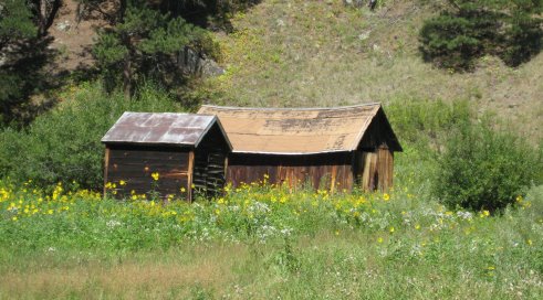 Old barn with flowers in the field in front