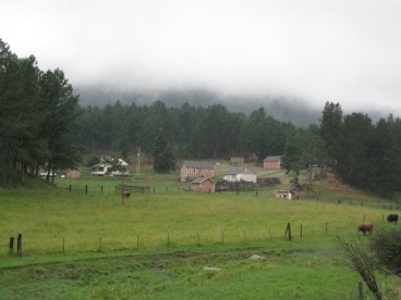 Sue's photo of the field