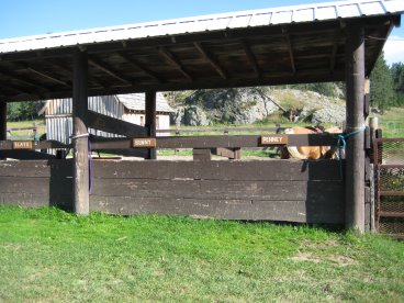 Horse stalls labeled 'Bunny' and 'Penny'