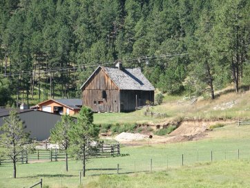 Old barn in field with fences and trees in background