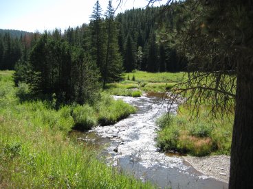 Stream flowing away across a field