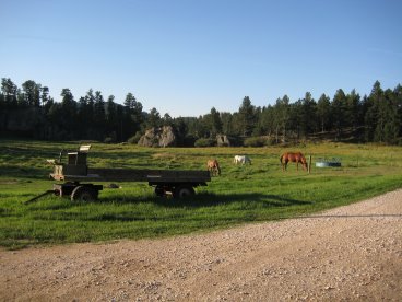 Flat-bed horse-drawn wagon