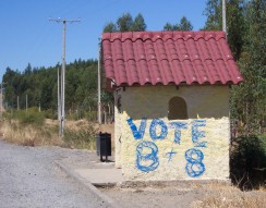 Bus stop with Bachelet graffiti