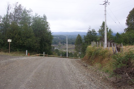 The road to Conguillio park