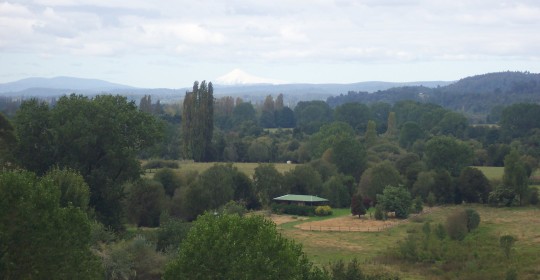 Farms on the other side of the valley