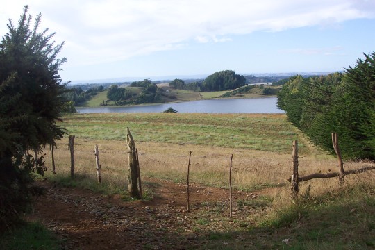 Fence with field and lake