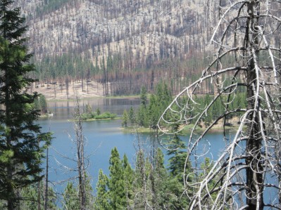 Lake seen through the trees