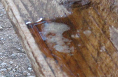 A face appears in the foam of some spilled beer