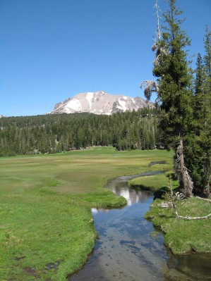 Looking across a meadow with a stream at a mountain