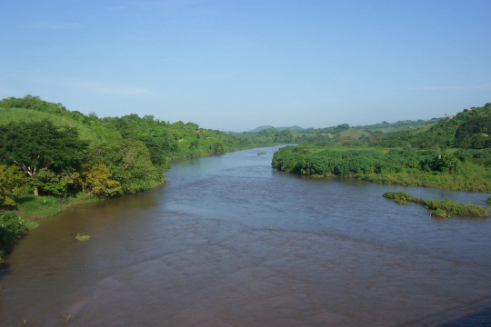 River, from the bridge