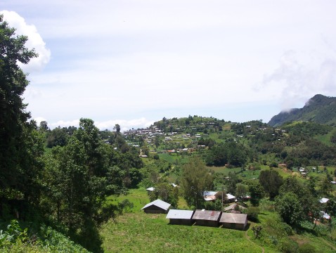Farm and town in valley
