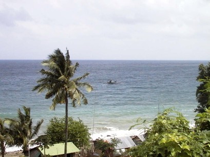 Looking out over the ocean with houses and palm trees in foreground