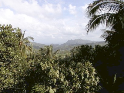Clouds and mountains with dense vegetation in foreground