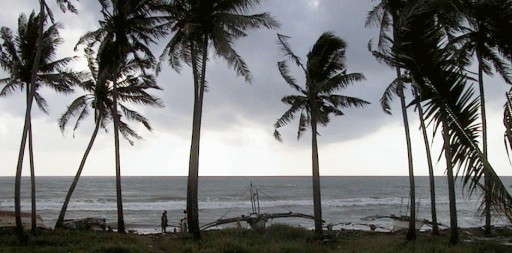 Looking out to sea with palm trees and outrigger boats on the beach