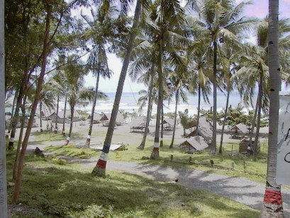Looking down through the trees to a beach covered with open-air thatched-roof dewllings