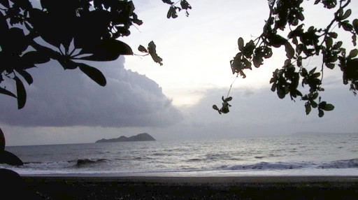 Looking out to sea at sundown - surf and clouds framed by tree leaves