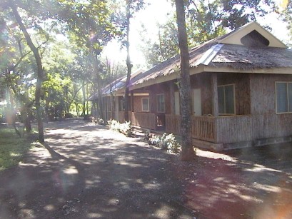 Buildings with porches amongst tall trees