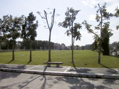 Town plaza with tree shadows