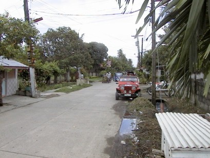 Narrow street with palm trees, cars, tricicad, etc.