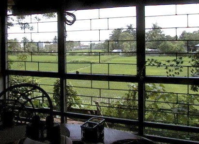 View looking out over the rice fields from Dave and Hazel's porch