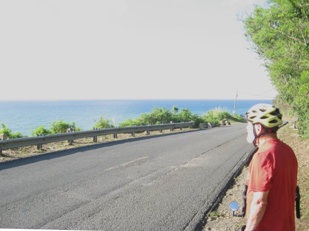 Art looking out over the Caribbean