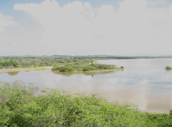 View of the shore from the tower