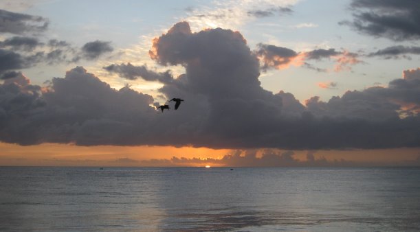 Sunset over the ocean