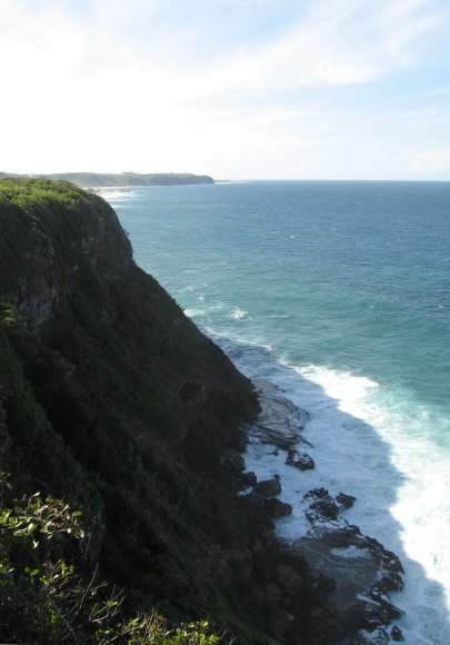 View from restaurant deck: cliff overlooking sea