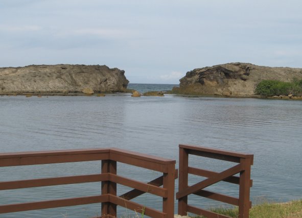 Fence & gate looking toward entrance to small bay