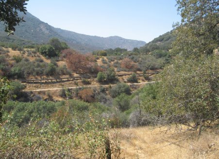 Sluice running next to the road