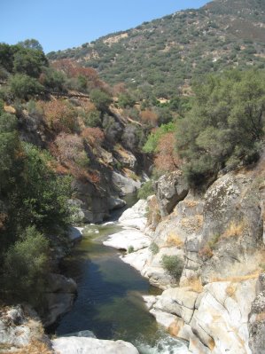 Rushing water in a stream
